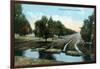 Florida - Orchard Irrigation Scene-Lantern Press-Framed Art Print