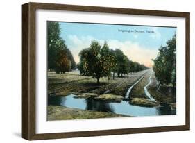 Florida - Orchard Irrigation Scene-Lantern Press-Framed Art Print