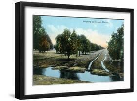 Florida - Orchard Irrigation Scene-Lantern Press-Framed Art Print