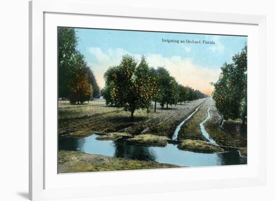 Florida - Orchard Irrigation Scene-Lantern Press-Framed Art Print