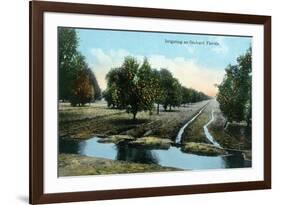 Florida - Orchard Irrigation Scene-Lantern Press-Framed Art Print