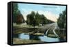 Florida - Orchard Irrigation Scene-Lantern Press-Framed Stretched Canvas