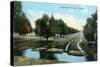 Florida - Orchard Irrigation Scene-Lantern Press-Stretched Canvas