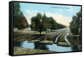 Florida - Orchard Irrigation Scene-Lantern Press-Framed Stretched Canvas