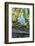 Florida, Orlando, Egret and Alligator-Jim Engelbrecht-Framed Photographic Print