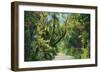 Florida - Overgrown Vegetation Scene-Lantern Press-Framed Art Print