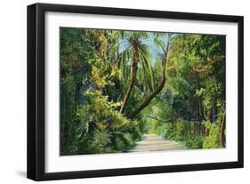 Florida - Overgrown Vegetation Scene-Lantern Press-Framed Art Print