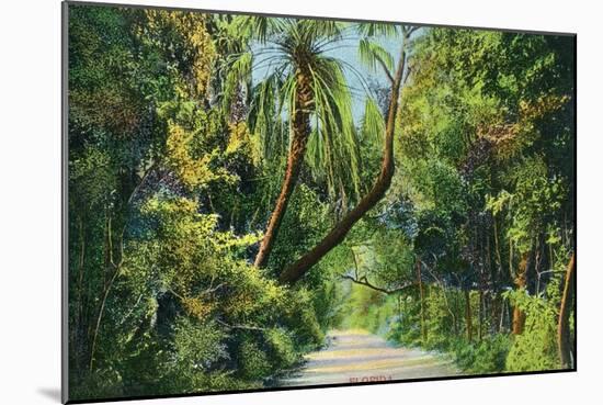 Florida - Overgrown Vegetation Scene-Lantern Press-Mounted Art Print