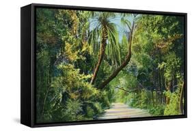 Florida - Overgrown Vegetation Scene-Lantern Press-Framed Stretched Canvas