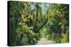 Florida - Overgrown Vegetation Scene-Lantern Press-Stretched Canvas