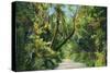 Florida - Overgrown Vegetation Scene-Lantern Press-Stretched Canvas