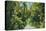 Florida - Overgrown Vegetation Scene-Lantern Press-Stretched Canvas