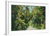 Florida - Overgrown Vegetation Scene-Lantern Press-Framed Art Print