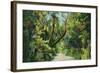 Florida - Overgrown Vegetation Scene-Lantern Press-Framed Art Print