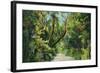 Florida - Overgrown Vegetation Scene-Lantern Press-Framed Art Print