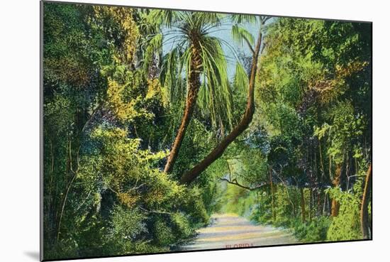 Florida - Overgrown Vegetation Scene-Lantern Press-Mounted Art Print