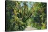 Florida - Overgrown Vegetation Scene-Lantern Press-Stretched Canvas