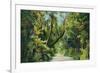 Florida - Overgrown Vegetation Scene-Lantern Press-Framed Art Print