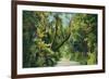 Florida - Overgrown Vegetation Scene-Lantern Press-Framed Art Print