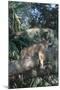 Florida Panther (Felis Concolor) on Oak Branch in Woodland Hammock, South Florida, USA-Lynn M^ Stone-Mounted Photographic Print
