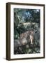 Florida Panther (Felis Concolor) on Oak Branch in Woodland Hammock, South Florida, USA-Lynn M^ Stone-Framed Photographic Print