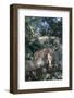 Florida Panther (Felis Concolor) on Oak Branch in Woodland Hammock, South Florida, USA-Lynn M^ Stone-Framed Photographic Print