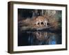 Florida Panther (Felis Concolor) Walking Past Pond in South Florida Woodland, Florida, USA-Lynn M^ Stone-Framed Photographic Print