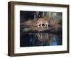 Florida Panther (Felis Concolor) Walking Past Pond in South Florida Woodland, Florida, USA-Lynn M^ Stone-Framed Photographic Print