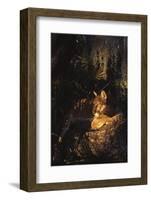 Florida Panther (Felis Concolor)-Lynn M^ Stone-Framed Photographic Print