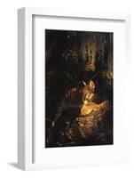 Florida Panther (Felis Concolor)-Lynn M^ Stone-Framed Photographic Print