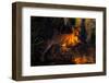 Florida Panther Lying on Huge Oak Limb Amid Spanish Moss in Late Afternoon Light, Southwest Florida-Lynn M^ Stone-Framed Premium Photographic Print