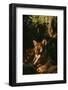 Florida Panther-null-Framed Photographic Print