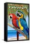 Florida - Parrots-Lantern Press-Framed Stretched Canvas