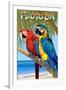 Florida - Parrots-Lantern Press-Framed Art Print