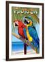 Florida - Parrots-Lantern Press-Framed Art Print