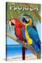 Florida - Parrots-Lantern Press-Stretched Canvas