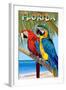 Florida - Parrots-Lantern Press-Framed Art Print