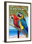 Florida - Parrots-Lantern Press-Framed Art Print