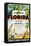 Florida, Pennsylvania Railroad Poster-null-Framed Stretched Canvas