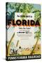 Florida, Pennsylvania Railroad Poster-null-Stretched Canvas