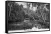 Florida - Riverboat on the Tomoka River-Lantern Press-Framed Stretched Canvas