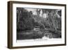 Florida - Riverboat on the Tomoka River-Lantern Press-Framed Art Print