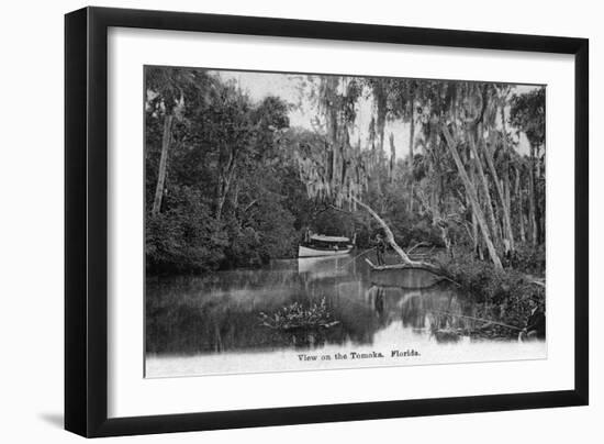 Florida - Riverboat on the Tomoka River-Lantern Press-Framed Art Print