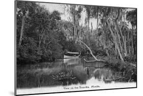 Florida - Riverboat on the Tomoka River-Lantern Press-Mounted Art Print