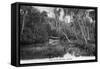 Florida - Riverboat on the Tomoka River-Lantern Press-Framed Stretched Canvas