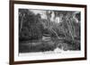 Florida - Riverboat on the Tomoka River-Lantern Press-Framed Premium Giclee Print