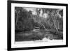 Florida - Riverboat on the Tomoka River-Lantern Press-Framed Art Print