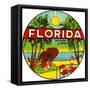 Florida, Riviera of America-null-Framed Stretched Canvas