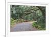 Florida. Road Through Old Trees and Vegetation-Jaynes Gallery-Framed Photographic Print