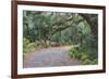 Florida. Road Through Old Trees and Vegetation-Jaynes Gallery-Framed Photographic Print